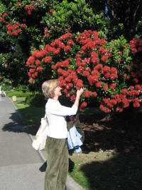 20061129 NZ 001 Nancy loves flowers at Auckland Airport.jpg (2143442 bytes)