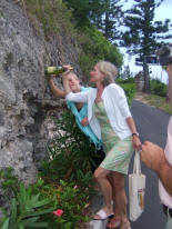 20070711 Bermuda 075v wine source.jpg (1098084 bytes)