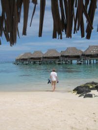 20061208 Tahiti 053 Nancy going snorkeling (v).jpg (721969 bytes)